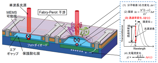 054_1 高橋先生 図1.2.png