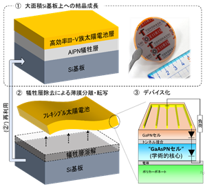 066 山根先生 図1.png