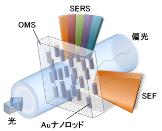 052_1 g.kawamura fig.1.0.png