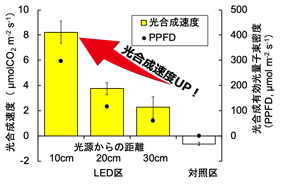 173_1 熊崎先生 図2.png