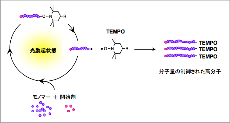 様々な機能性高分子材料を生み出します ~光精密ラジカル重合を用いる高