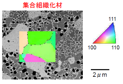 008_1 y.todaka fig.3.0.png