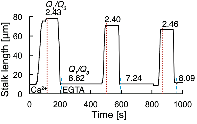 019_2 m.nagai fig.3.1.png