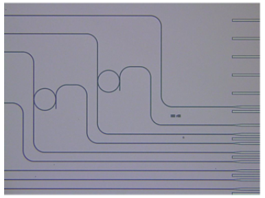 038_1 y.ishikawa fig.1.0.png