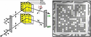 057_2 y.nakamura fig.1.1.png