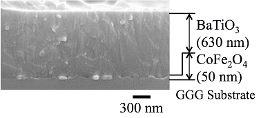 057_2 y.nakamura fig.2.1.png