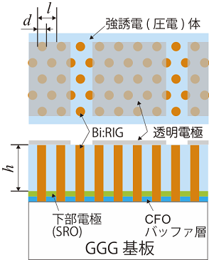 057_2 y.nakamura fig.3.1.png