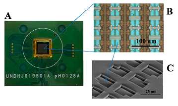 058_2 t.hattori fig.2.1.png