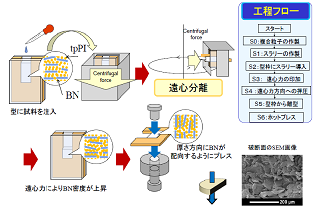 059_1 y.murakami fig.1.1.png