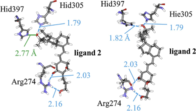 086_2 n.kurita fig.2.1.png