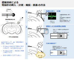 162_1 鯉田先生 図2.png