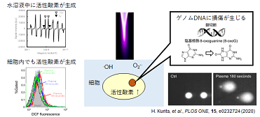 124_h.kurita fig.2.1b.png