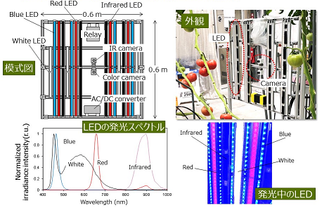 158_1 k.takayama fig.4.2.png