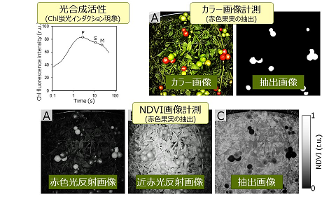 158_1 k.takayama fig.5.2.png