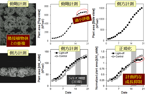 188_1 s.toda fig.2.1.png