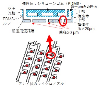 019_1 永井 図.jpg