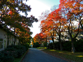 写真2