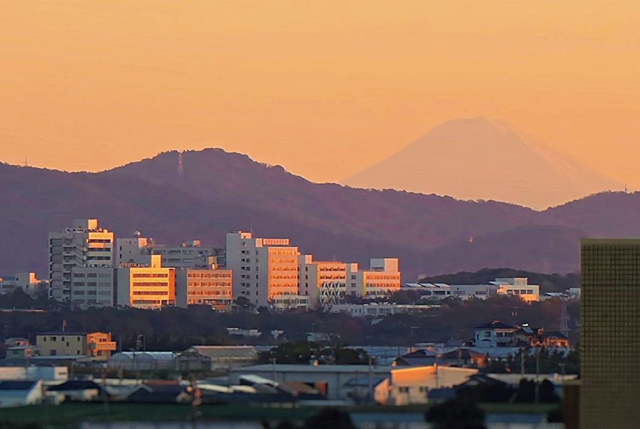 https://www.tut.ac.jp/tempaku/202003/images/tempaku149hyakei1.png