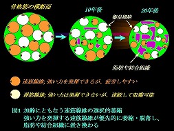 図1