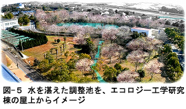 図5 水を湛えた調整池を、エコロジー工学研究棟の屋上からイメージ