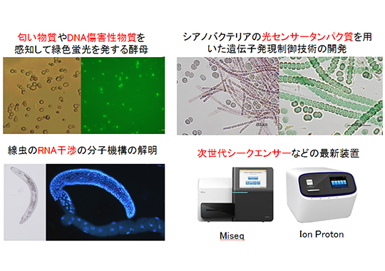 https://www.tut.ac.jp/tempaku/test/mt_imgs/140daigaku_kan2.jpg