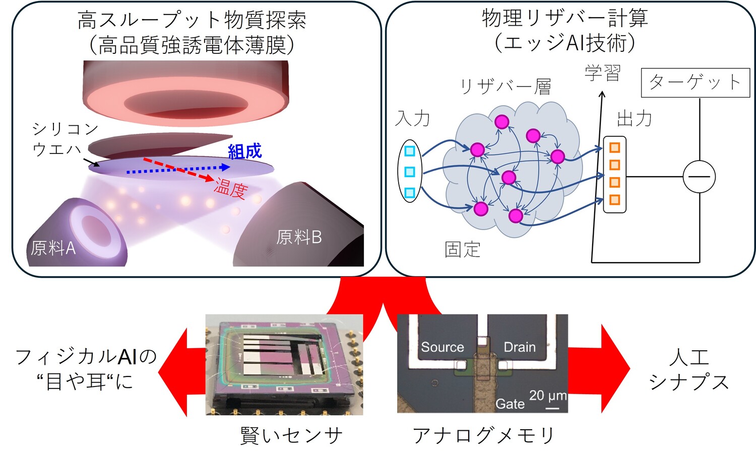 Yoshimura_lab.jpg