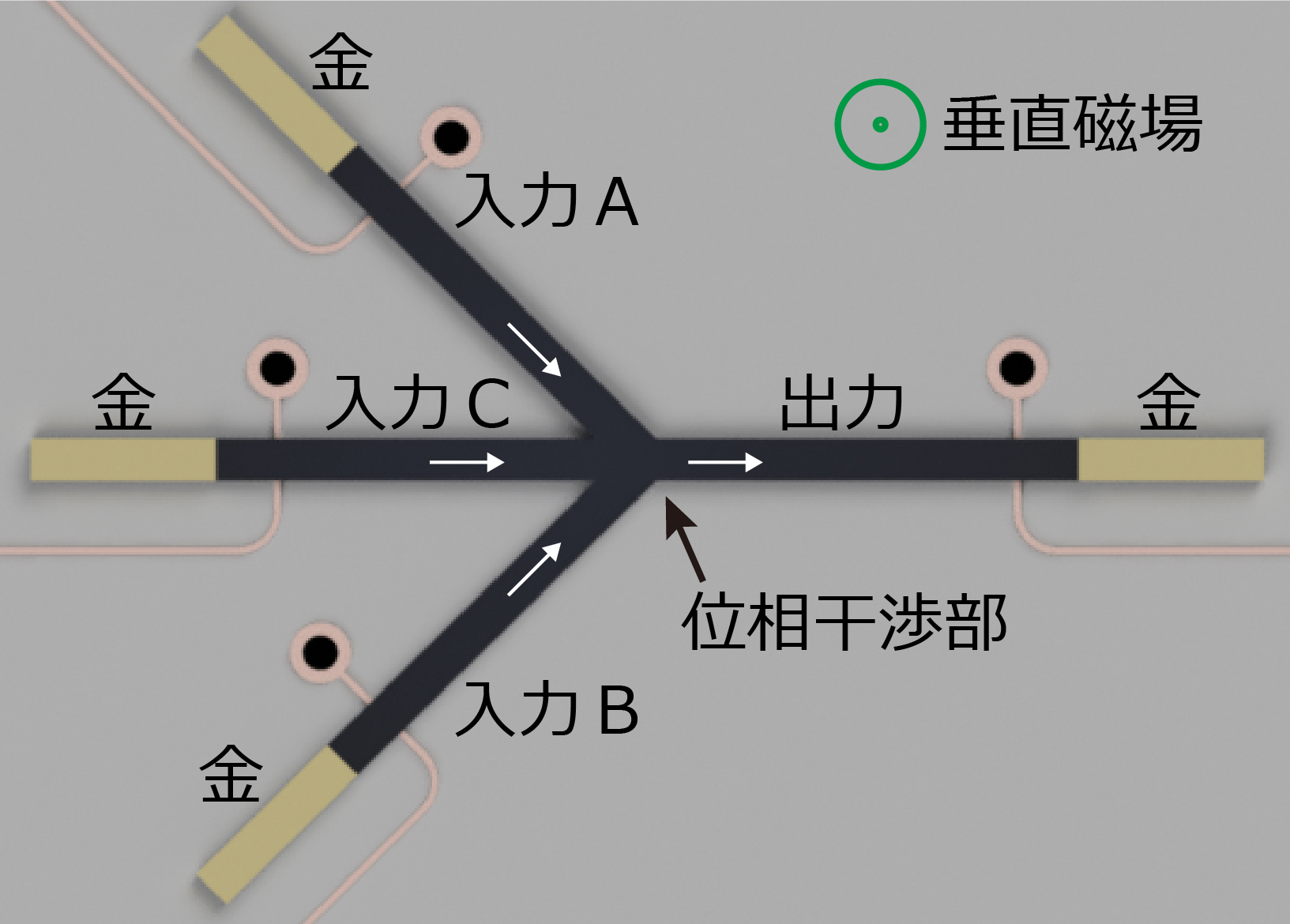 後藤 太一 ごとう たいち 教員紹介 豊橋技術科学大学 後藤 太一 ごとう たいち 教員紹介 豊橋技術科学大学