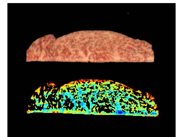近赤外スペクトルイメージングによる牛肉の脂肪品质の可视化